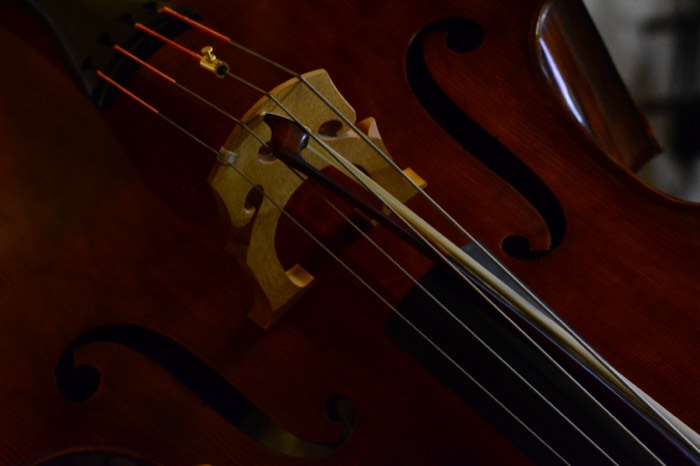 Detail: Cello